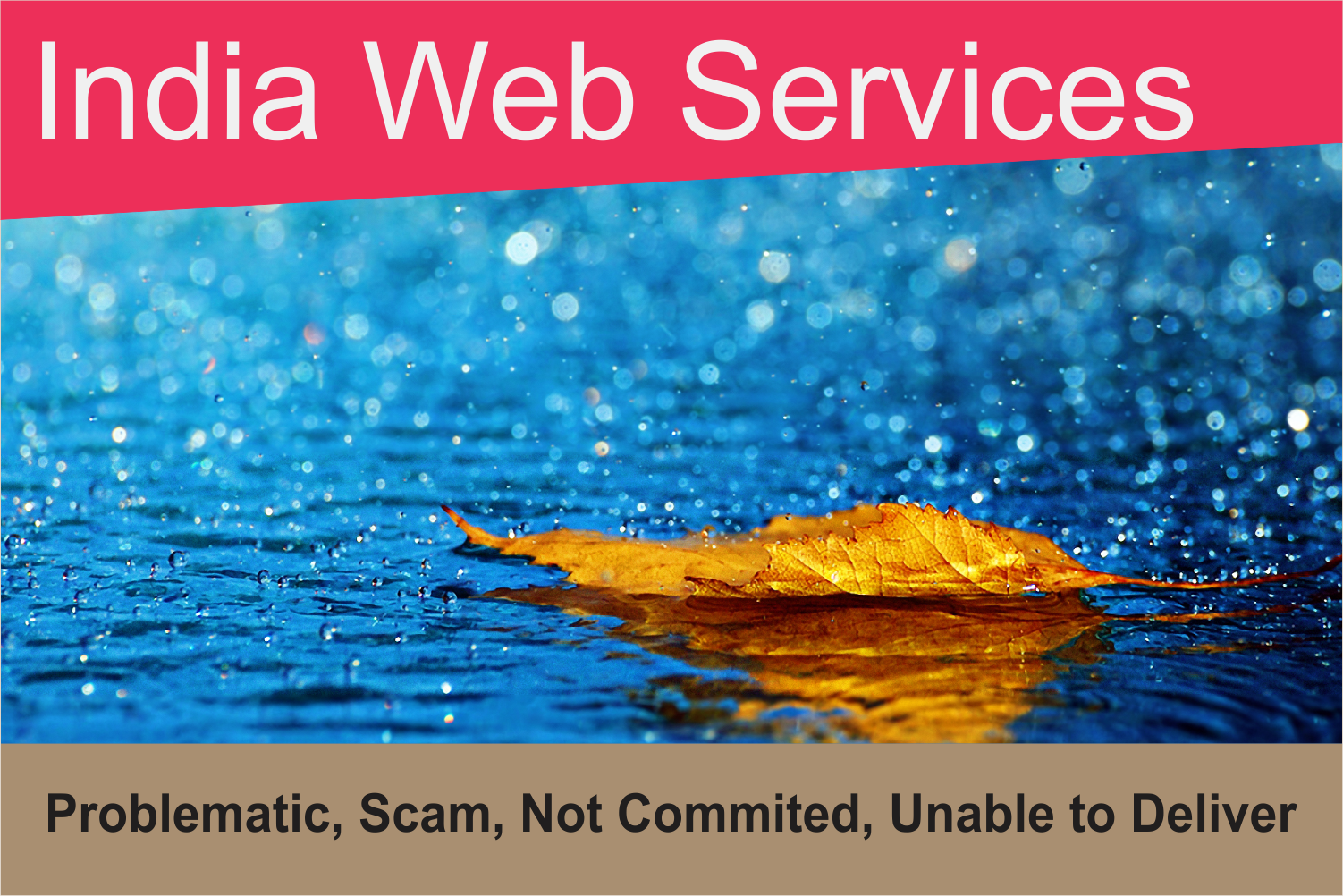Web Design India Scam